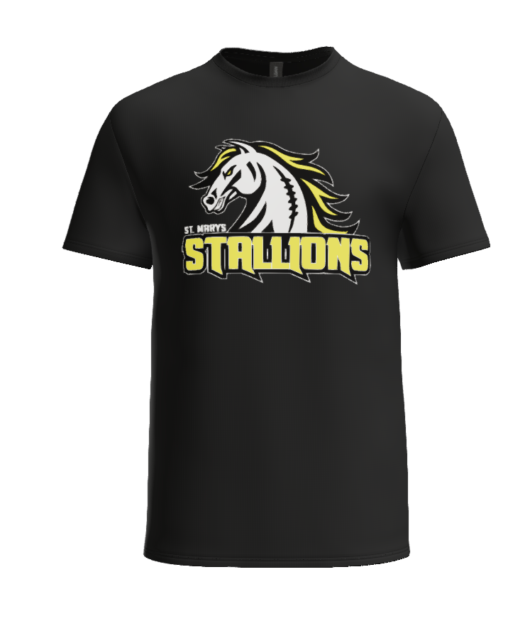 STALLIONS - YOUTH Gildan Heavy Cotton T-shirt 5000B