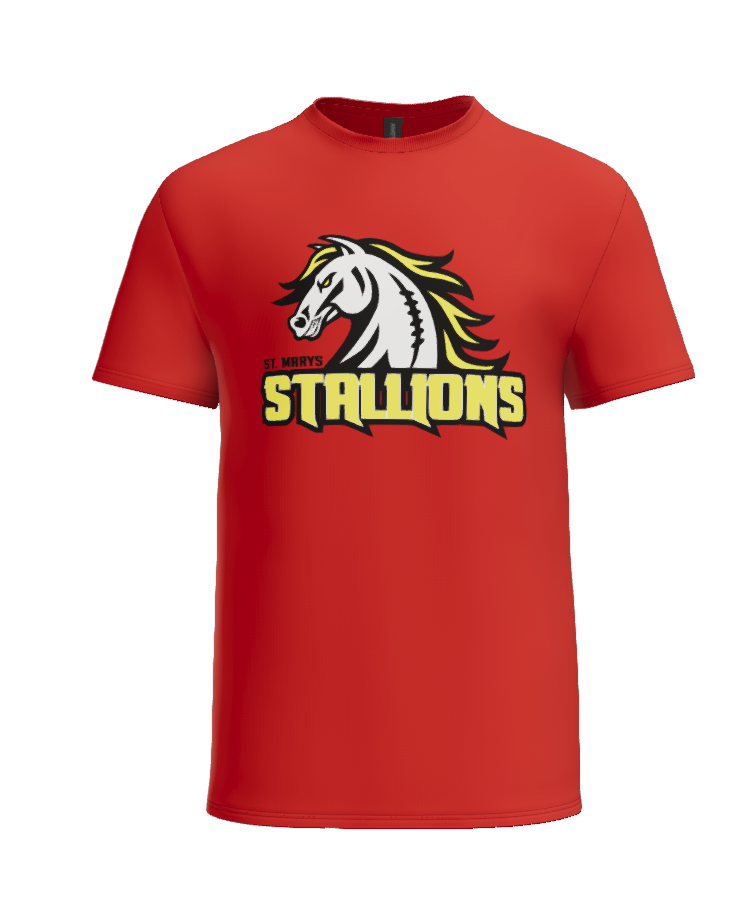 STALLIONS - YOUTH Gildan Heavy Cotton T-shirt 5000B