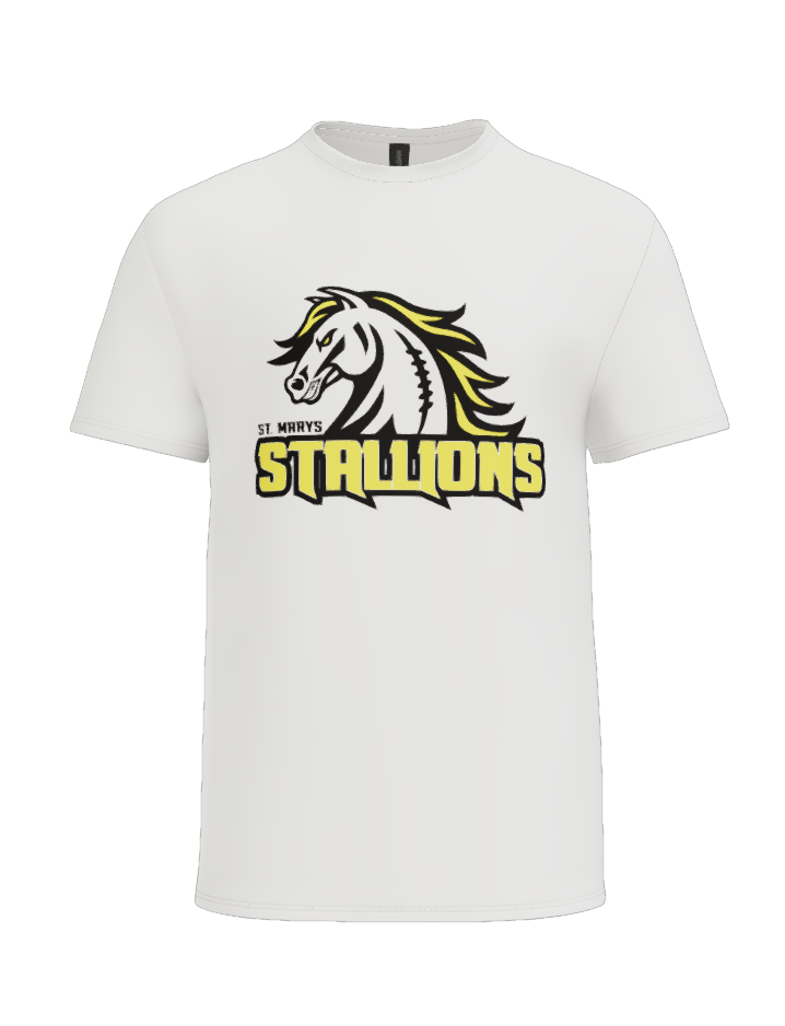 STALLIONS - YOUTH Gildan Heavy Cotton T-shirt 5000B